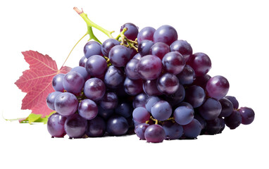 Succulent Purple Grapes on Display on white background