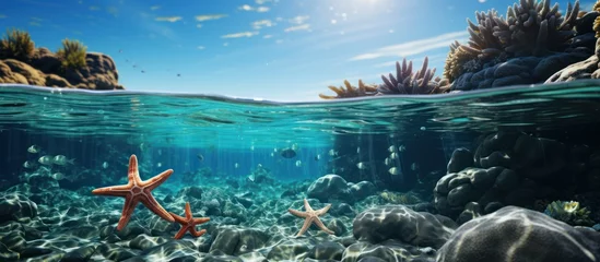 Keuken spatwand met foto Starfish on coral reef. panoramic sea natural landscape snorkeling © MBRAMO