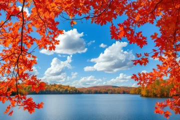 Photo sur Plexiglas Rouge autumn leaves on the lake