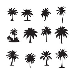 set of palm trees, Isolated palm on the white background. Palm silhouettes.	