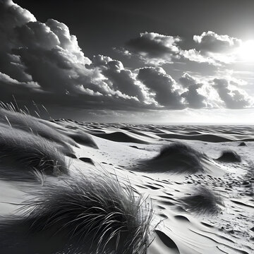 Tranquil dune landscape,black and white photo