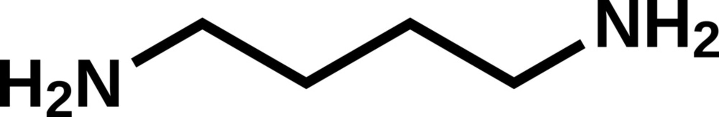 Putrescine structural formula, vector illustration