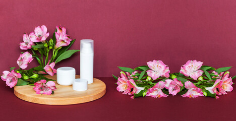 Spring natural cosmetic products: anti-aging creams for face, eyelids and moisturizing gel on wooden podium and alstroemeria flowers on burgundy background. Banner with empty space for text