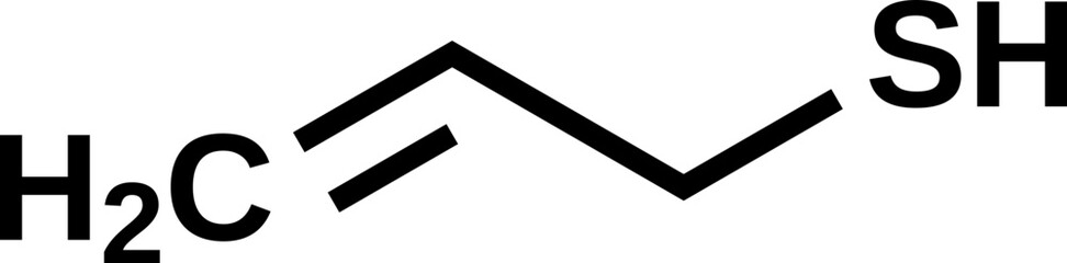 Allyl thiol structural formula, vector illustration 