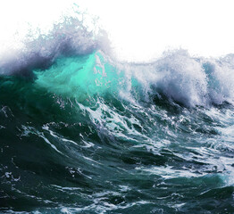 透明な背景に巨大な海の波