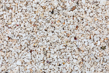 Red Algal Nodules Beach in Udo Island. Red algae nodules are one of the calcareous algae that photosynthesize and deposit calcium carbonate on the walls between cells or cells. 