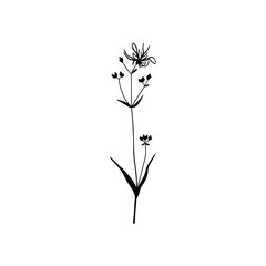 Vector hand-drawn illustration with wildflower silhouette. Collection of black minimalist flowers, herbs, and medicinal plants. SVG cut file for Cricut