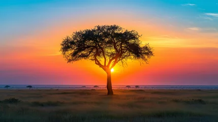 Gordijnen A captivating sunrise paints the savanna landscape, casting a golden glow and silhouetting a lone tree against the vibrant sky © Jakraphong