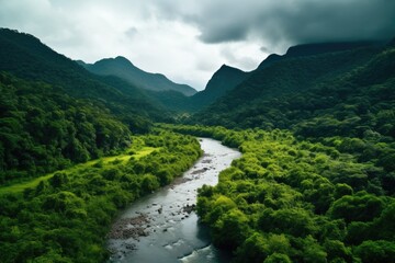 Serene river flowing through vibrant green forest, perfect for nature-themed designs