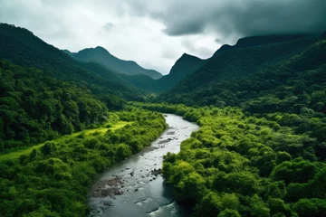 Photo sur Plexiglas Rivière forestière Serene river flowing through vibrant green forest, perfect for nature-themed designs