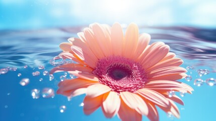 A beautiful flower floating in the water, perfect for nature and relaxation concepts