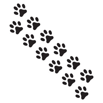 Dog and Lion black foot print animals. Illustration background design.
