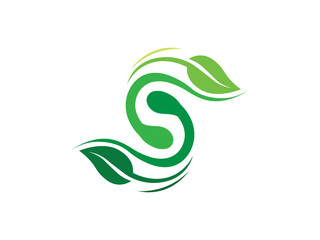 Fototapeta premium vector leaf, Initial Letter S With Leaf Luxury Logo. Green leaf logo Template vector Design.