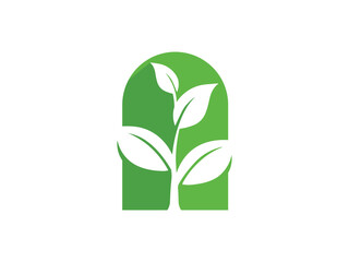 leaves grow logo design vector