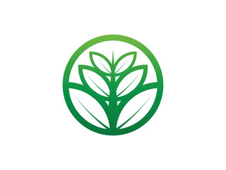 Circular Leaf logo gradient colorful design illustrations