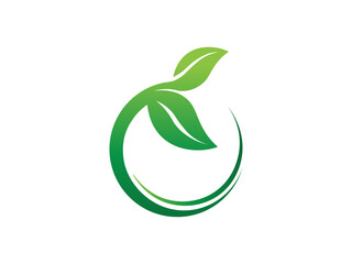 green leaf logo icon design vector, growing logo