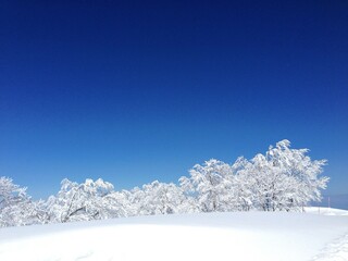 野沢温泉スキー場・雪山の景色