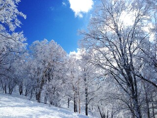 野沢温泉スキー場・雪山の景色