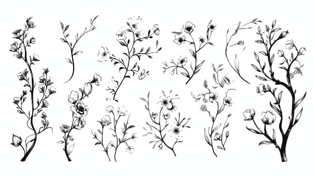 Doodle hand-drawn floral elements.