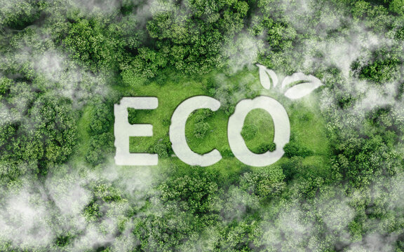 eco-friendly concept. Ecologic symbol icon on nature background. design to renewable resources sustainability. product eco-friendly. conservation to a green sustainable environment to net zero