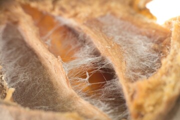 Nature's Art: The Elegance of Decay, A close-up capturing the intricate details of a decaying Sapodilla fruit. The image reveals the mesmerizing textures and colors, showcasing nature's artistry even