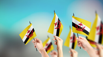 A group of people are holding small flags of Brunei in their hands.