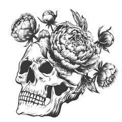 Skull decorated with blooming flowers peony. engraving woodcut etching design for tattoo, print, stickers. Line graphic. Vector illustration for Mexican Day of the Dead Dia de los Muertos skull.