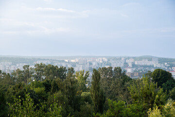 Panoramic View of city forest trees on background