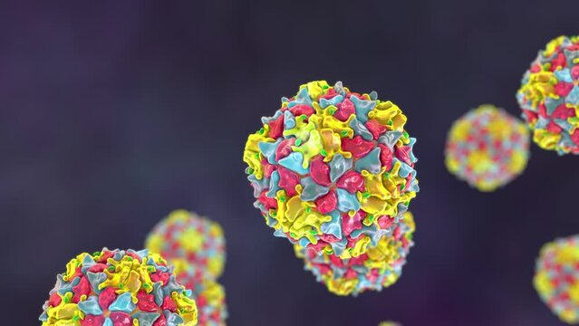 Poliovirus particles, animation