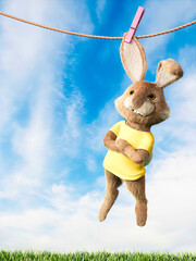 Easter bunny hanging on clothes line with arms crossed