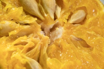 Citrus Radiance: A Macro Dive into an Orange's Heart and Seeds, This macro image takes you on a journey into the heart of an orange. The vibrant, juicy cells, the smooth seeds, and the textured rind
