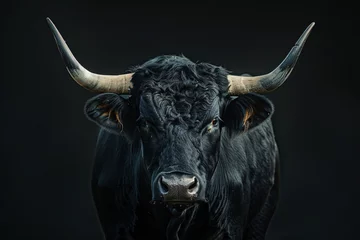 Foto op Aluminium a black bull with horns © Victor