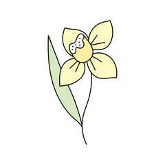 Spring flowers. Vector illustration. Isolated on white background