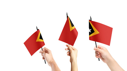 A group of people are holding small flags of East Timor in their hands.