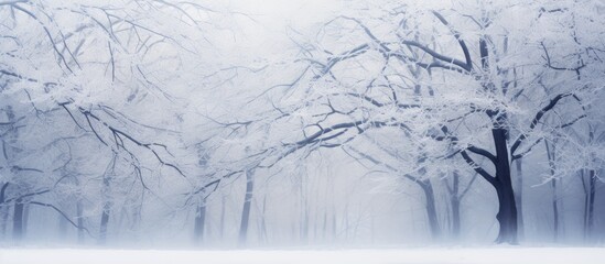 Tranquil Winter Wonderland: Snow-covered Branches Create a Serene Scene Amongst Frosty Trees