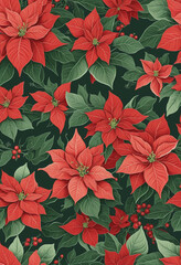 poinsettia plant vintage illustration isolated on a transparent background