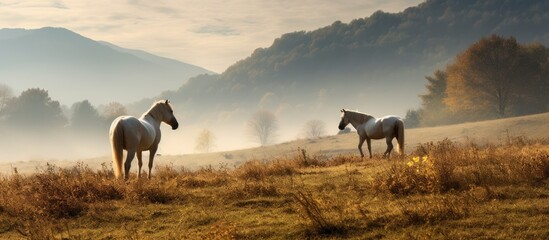 Majestic Horses Gracing Autumnal Caucasus Meadow with Towering Mountains in Background - Powered by Adobe