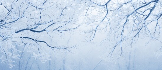 Ethereal Winter Landscape: A Frosted Bare Tree Stands Majestic in the Glacial Forest