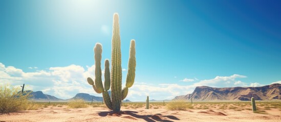 Majestic Saguaro Cactus Standing Tall under the Clear Blue Desert Sky - Powered by Adobe