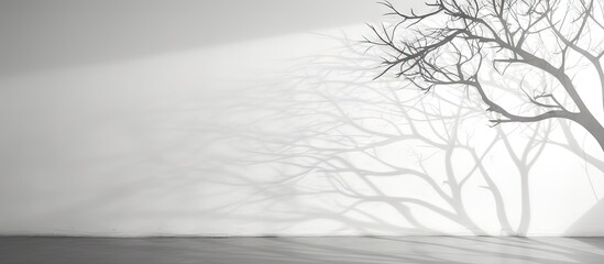 Elegant Silhouette of a Leafless Tree Cast on a Minimalist White Wall Background