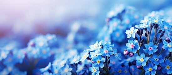 Vibrant Blue Blossoms of Forget Me Not Flowers - Calm and Serene Floral Wallpaper - obrazy, fototapety, plakaty