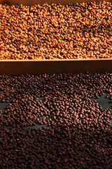 Coffee beans drying in the sun              