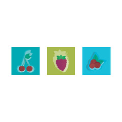 Set of 3 colorful berry (Raspberry, chery) icons, simple vector cartoon style illustration elements for product or web design.