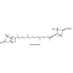 Fucoxanthin skeletal structure diagram.Caratenoid compound molecule scientific illustration on white background.