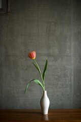 花瓶に生けた1本のチューリップ