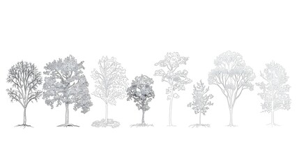 Minimal style cad tree line drawing, Side view, set of graphics trees elements outline symbol for architecture and landscape design drawing.