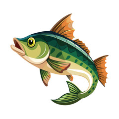 Fish illustration on White Background
