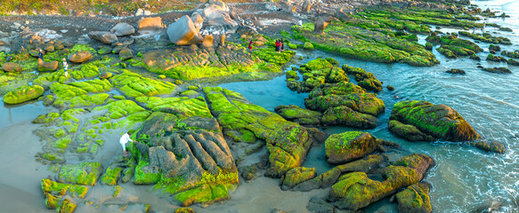 Amazing of rock and moss at Co Thach beach,Tuy Phong, Binh Thuan province, Vietnam, Seascape of Vietnam Strange rocks.