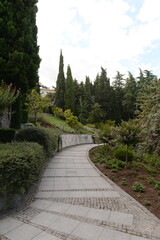 Obraz premium Path in the park 