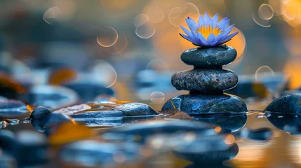 Tuinposter transformative power of meditation and mindfulness in achieving a balanced life © MAY